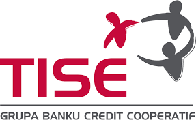 logo tise